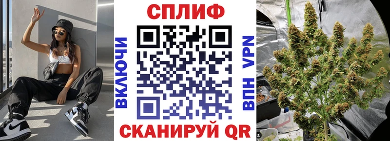 Каннабис Amnesia  Купить где  Магас 